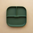 Silicone Suction Plate