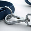 Dog Walk Combo: Collar, Leash, Dog Tag Set