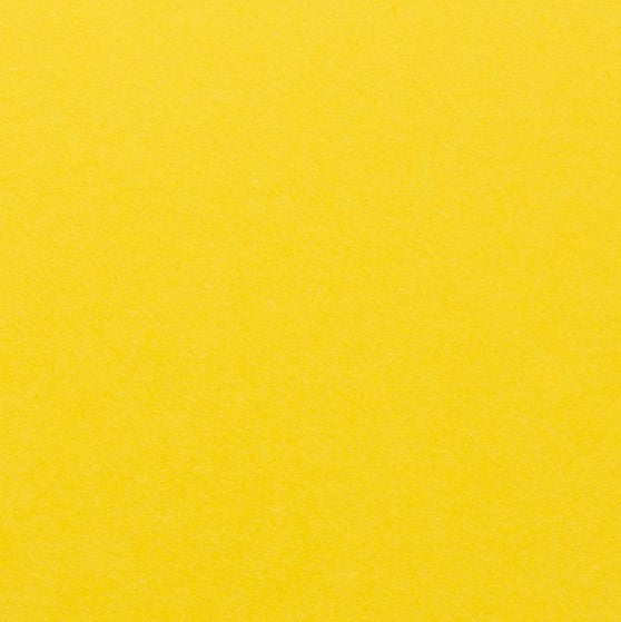 Clairefontaine - Maya Cardstock 120lb Paper - 8¼x11¾