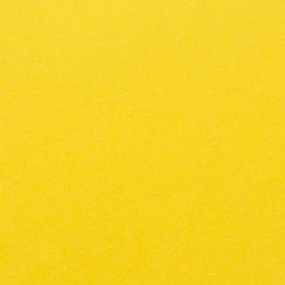Clairefontaine - Maya Cardstock 120lb Paper - 20x28