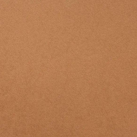 Clairefontaine - Maya Cardstock 120lb Paper - 20x28