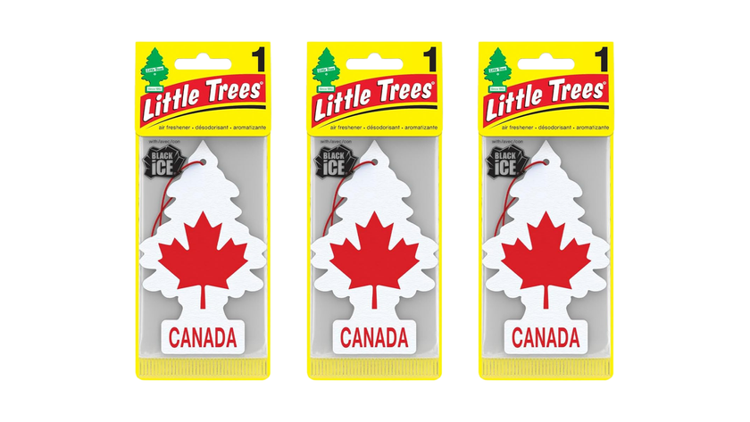Little Trees Car Air Freshener Canada (Bundle of 3)