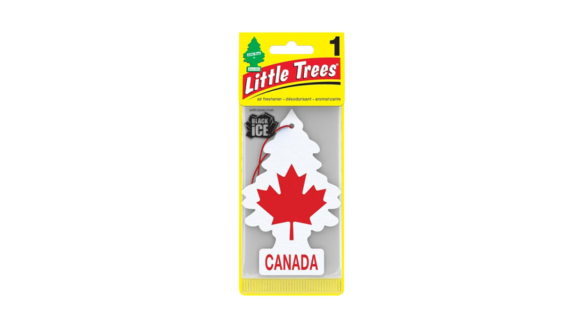 Little Trees Car Air Freshener Canada (Bundle of 3)