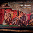 Pink Floyd / Live At Pompeii, October 1971 - 2LP COLOR Unofficial Release