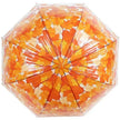 Long Handle Transparent Umbrella Painted Umbrella Maple Leaf Umbrella