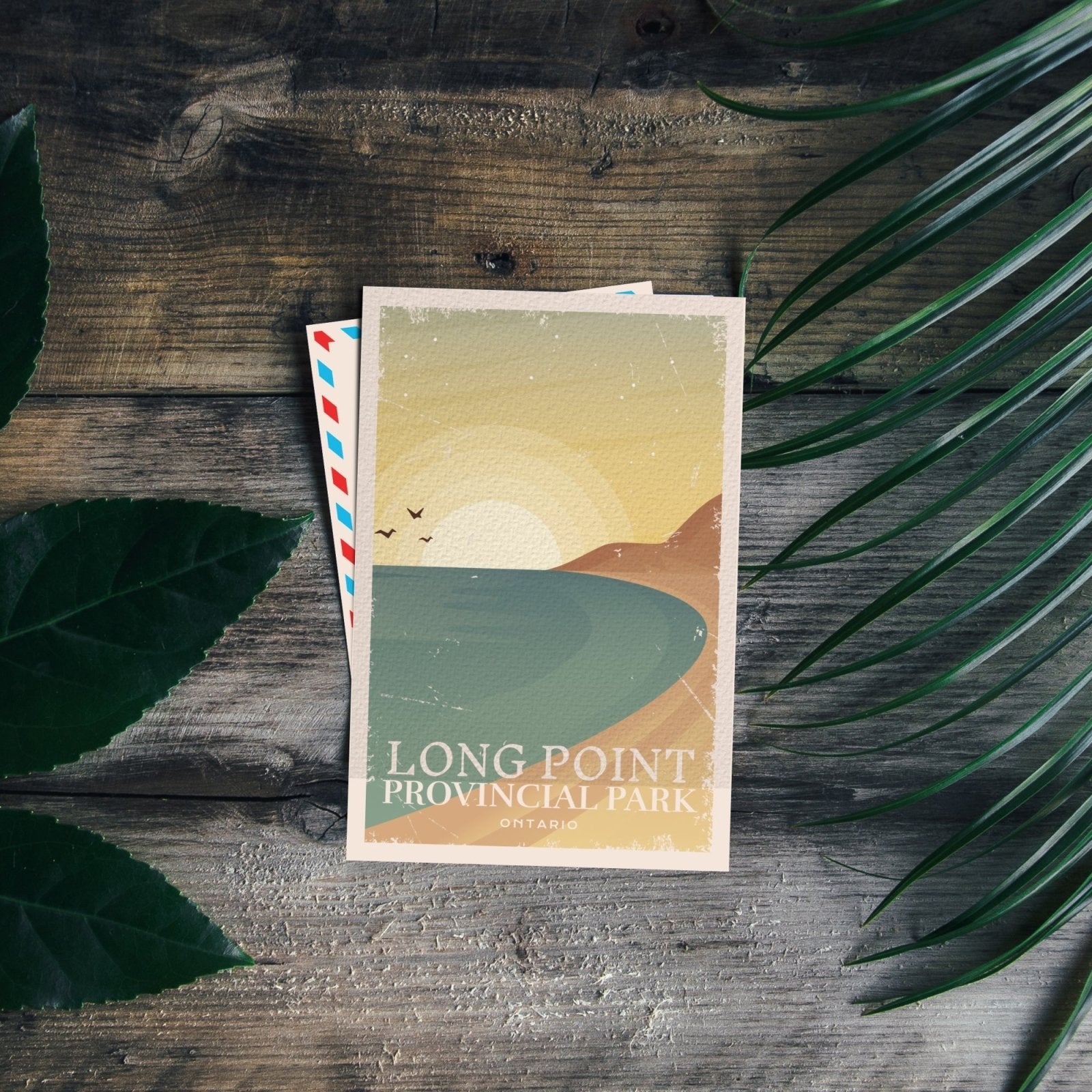 Long Point Ontario Provincial Park Postcard, Canada Parks