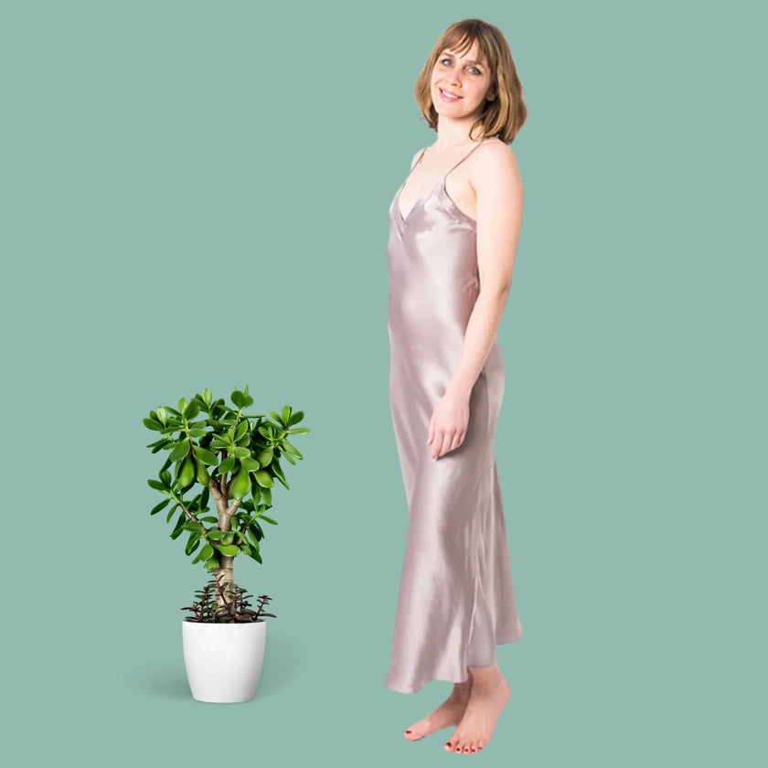 Women's Mulberry Silk Nightgown Taupe