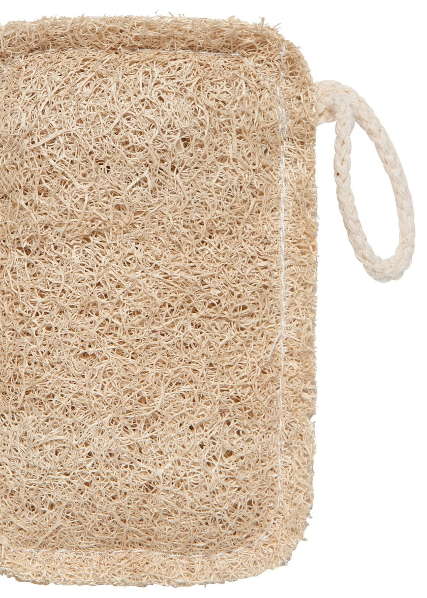 Loofah Dish Sponges, Set of 2