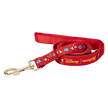 Loungefly Winnie the Pooh Leash