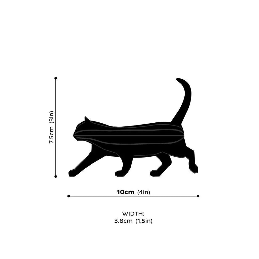 Lovi Cat
