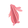 Lovi Rabbit