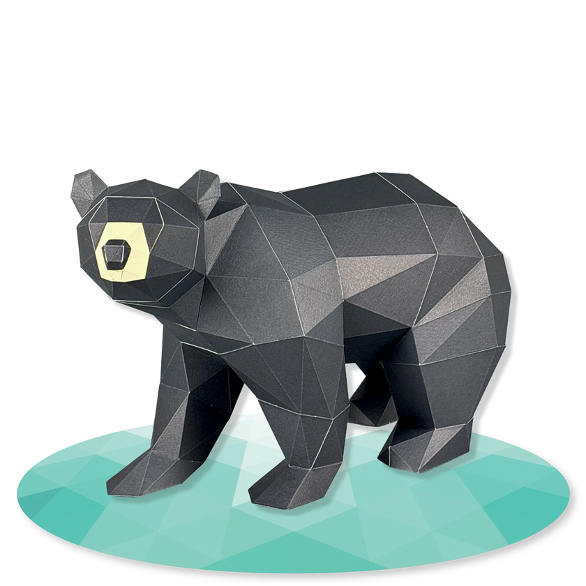 Black Bear