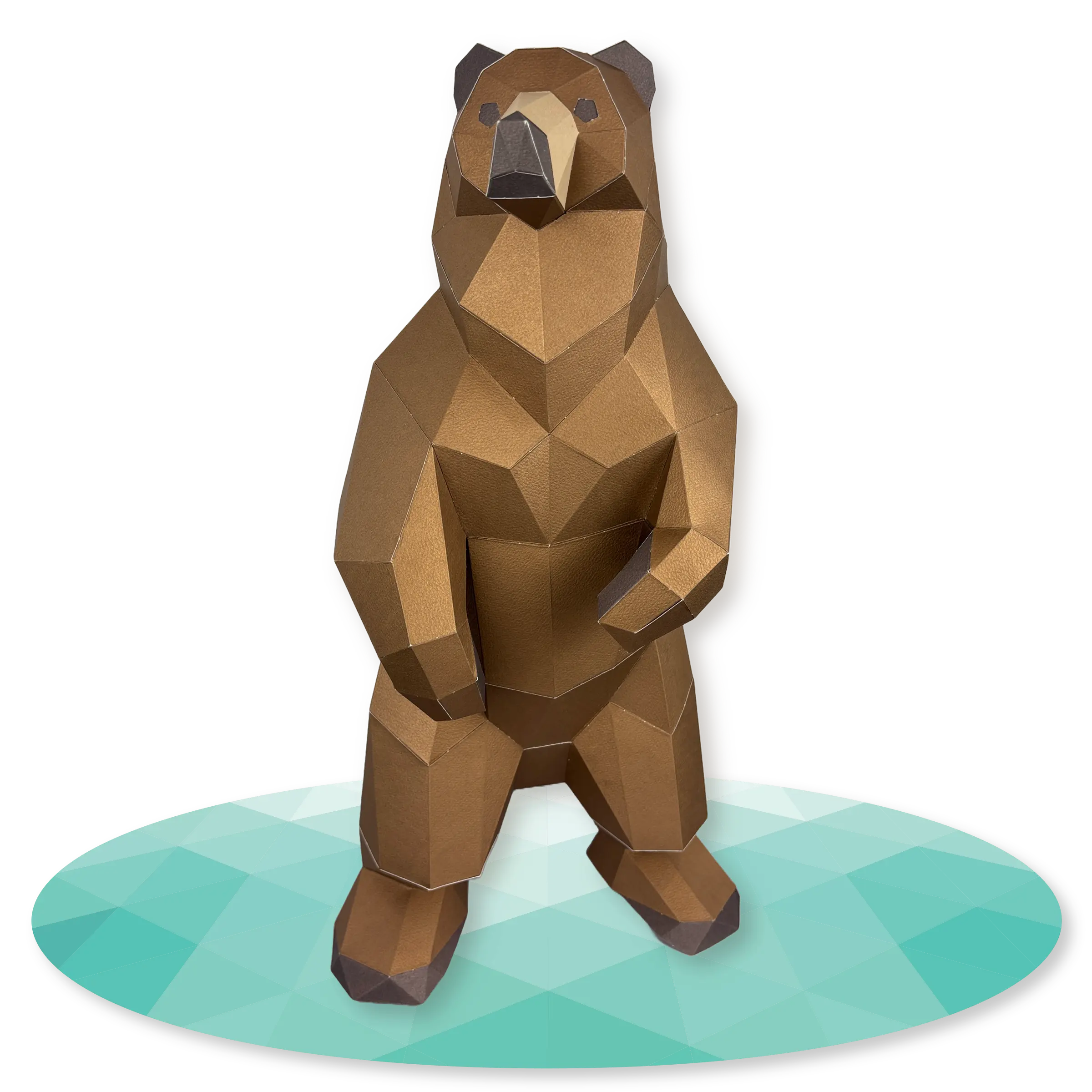 Grizzly Bear