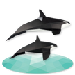 Orca Family