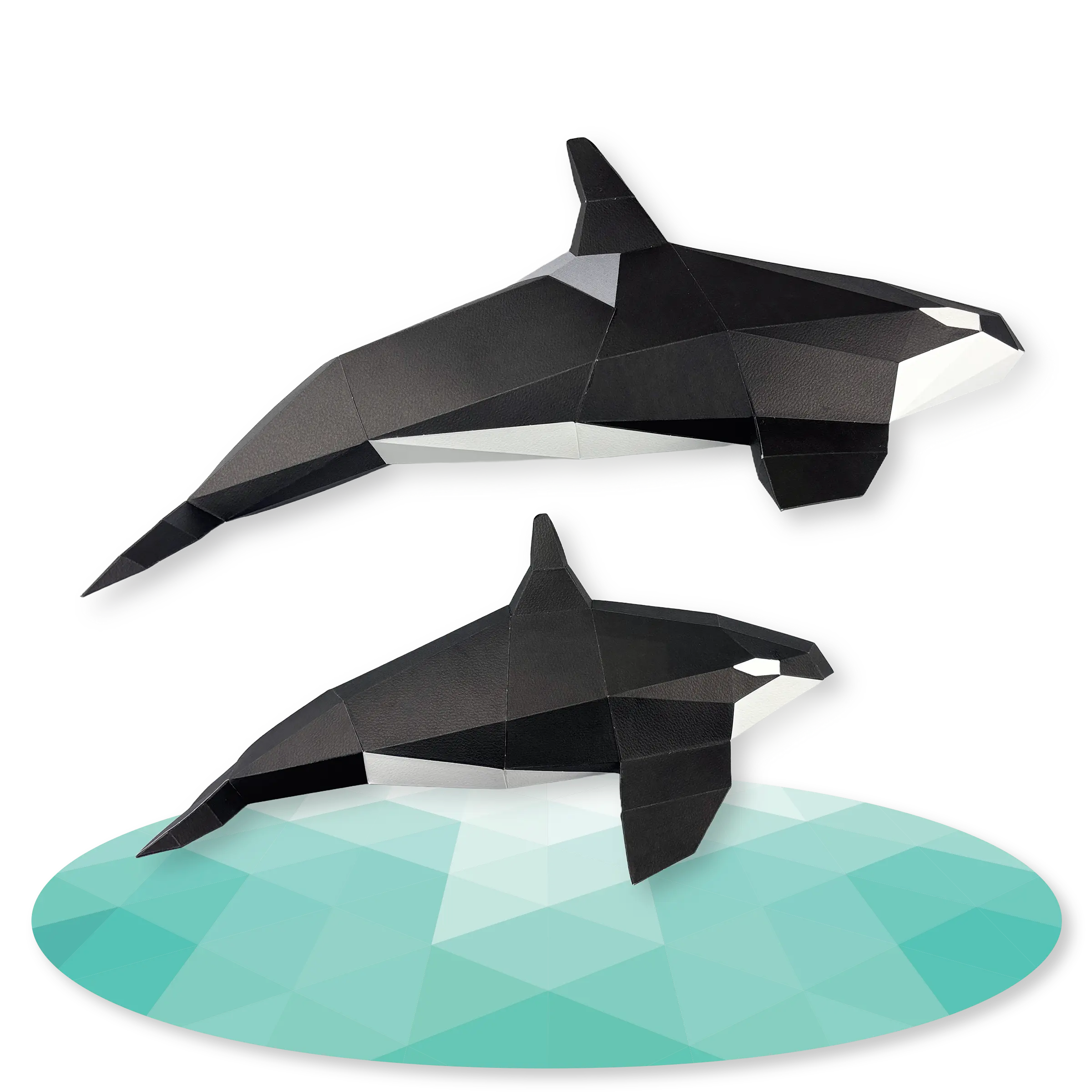 Orca Family