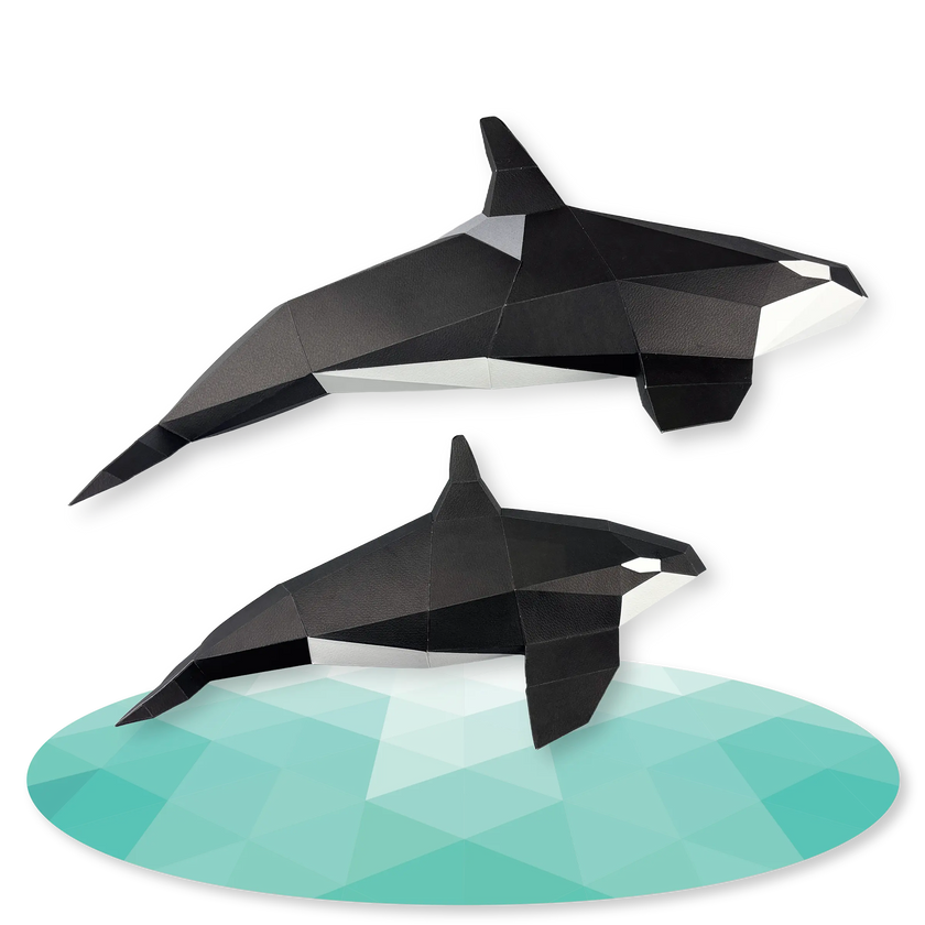 Orca Family