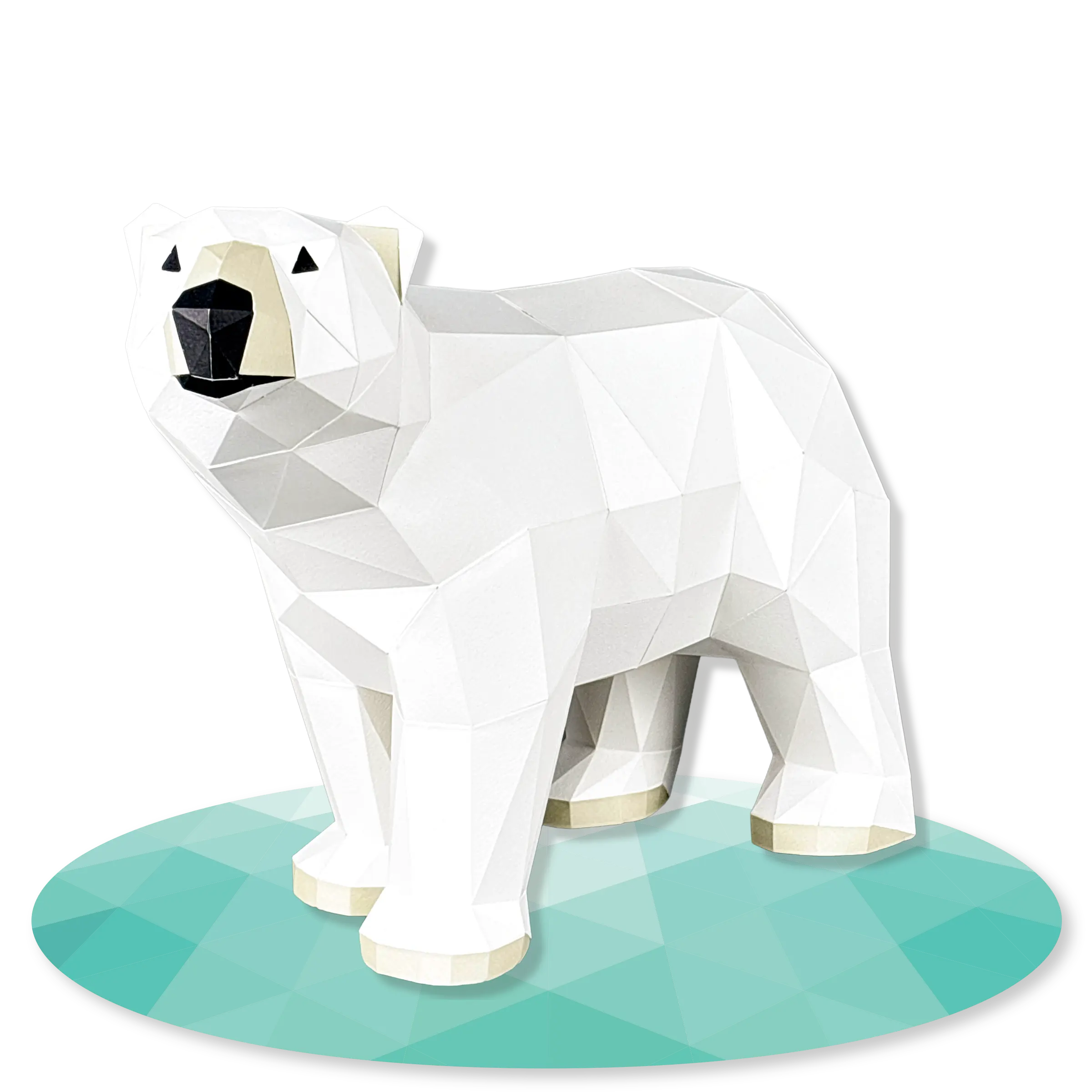 Polar Bear