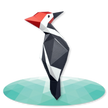 Woodpecker