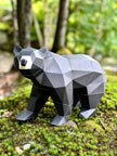 Black Bear