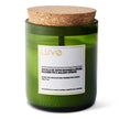 Juniper & Balsam Spruce Wooden Wick Candle