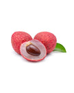 Lychee
