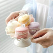 Macaron Scented Candle Photo Props