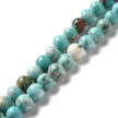Magnesite Turquoise Gemstone Beads