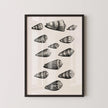 Maria Sybilla Merian Shells Print: Black and White Marine Life Art