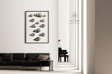 Maria Sybilla Merian Shells Print: Black and White Marine Life Art