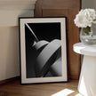 Wall art : La spirale