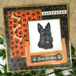 Hearts, Bones & Pawprints MDF Shapes