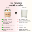 Milk and Sugar | Vanilla + Cinnamon + Cream
