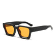 Thick Frame Sunglasses – Minimalist & Versatile