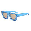 Thick Frame Sunglasses – Minimalist & Versatile