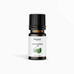 Mint & Eucalyptus Essential Oil – Regro by Rayhana (10 ML)