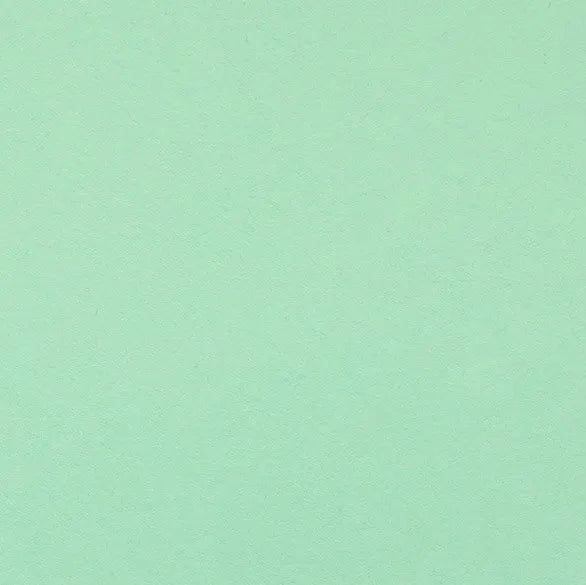 Clairefontaine - Maya Cardstock 120lb Paper - 20x28