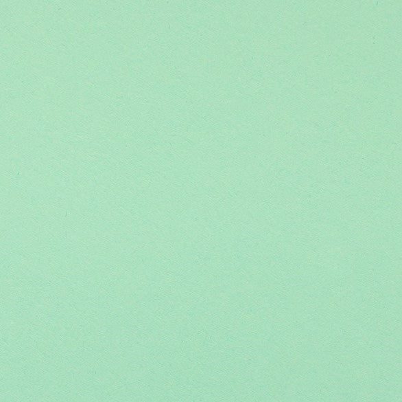 Clairefontaine - Maya Cardstock 120lb Paper - 8¼x11¾