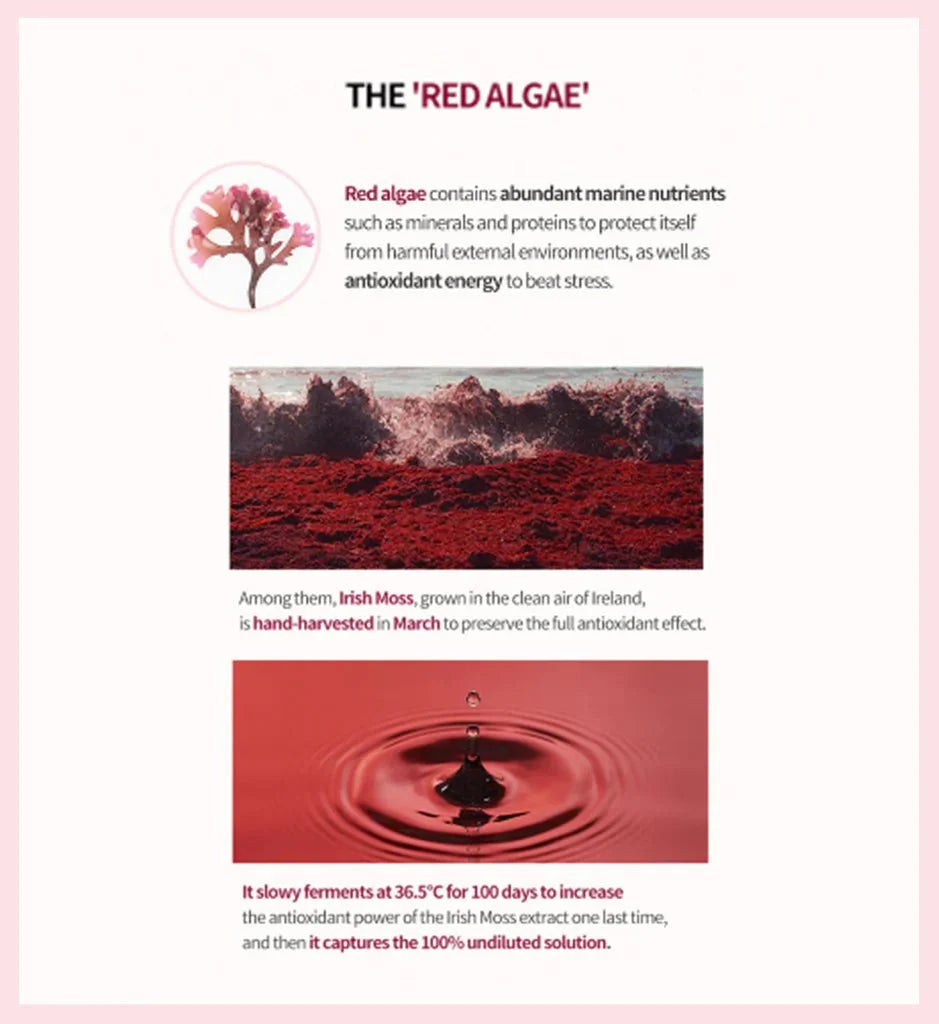 MISSHA Time Revolution Red Algae Revitalizing Cream 50ml