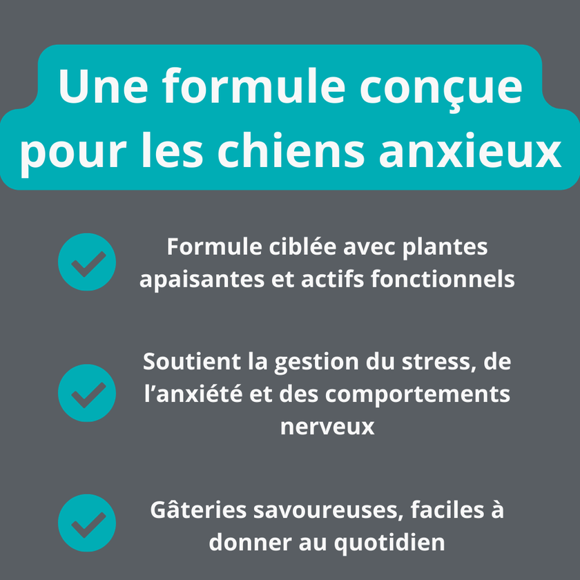 Gâterie calmante pour chien