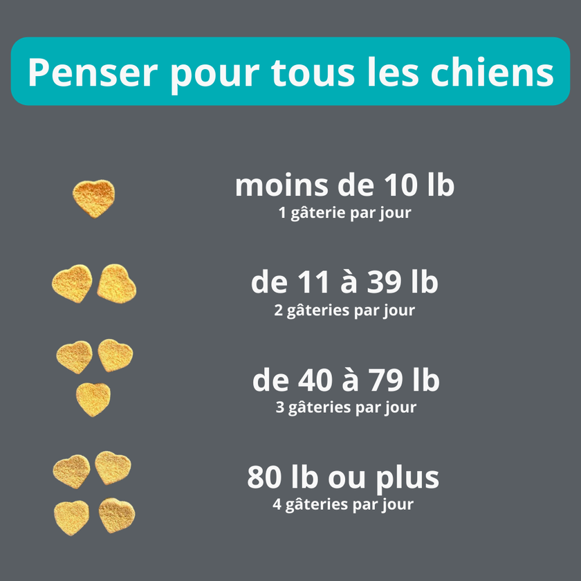 Gâterie multivitamine pour chien
