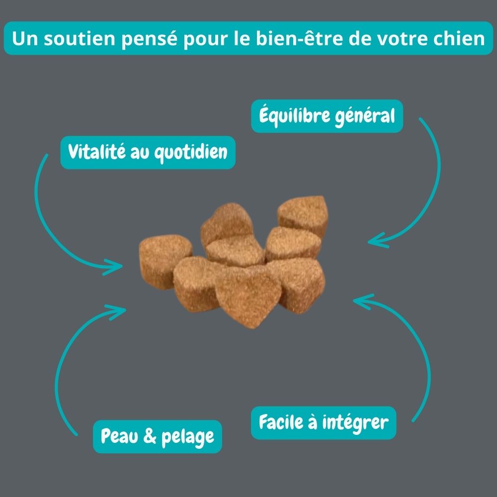 Gâterie multivitamine pour chien