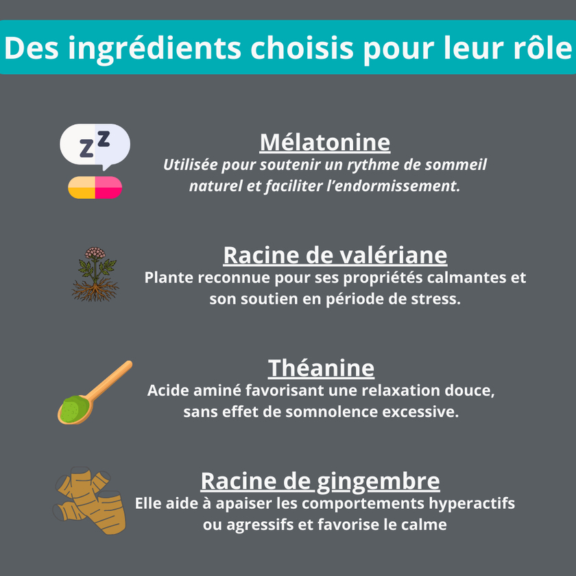 Gâterie calmante pour chien