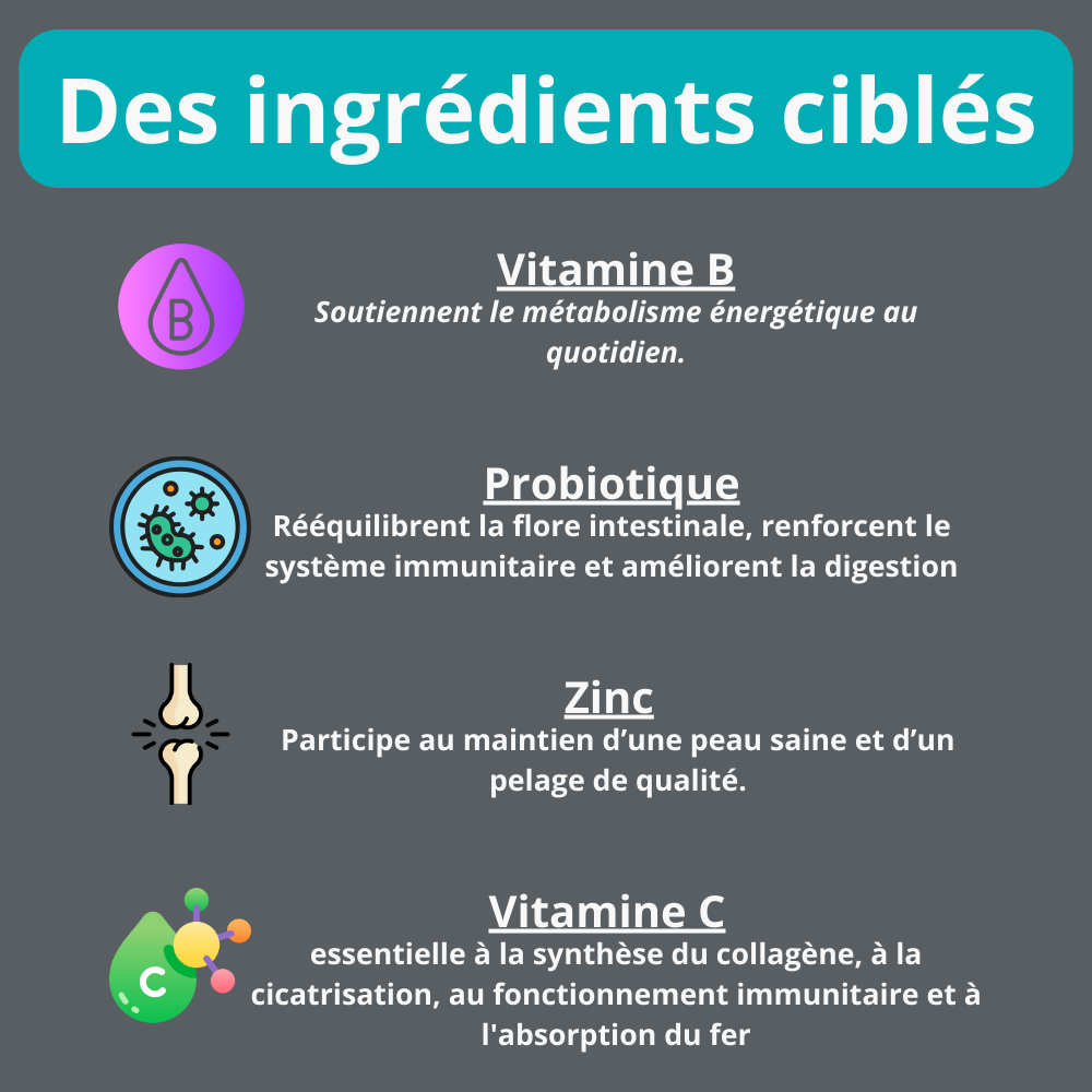 Gâterie multivitamine pour chien