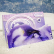 Wild Winter Luxury Topper Set