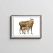 Baby Moose and Mom Wall Art Print