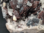 Museum-Grade Magnetic Iron Rose Hematite with Quartz – Jinlong Hill, Guangdong, China