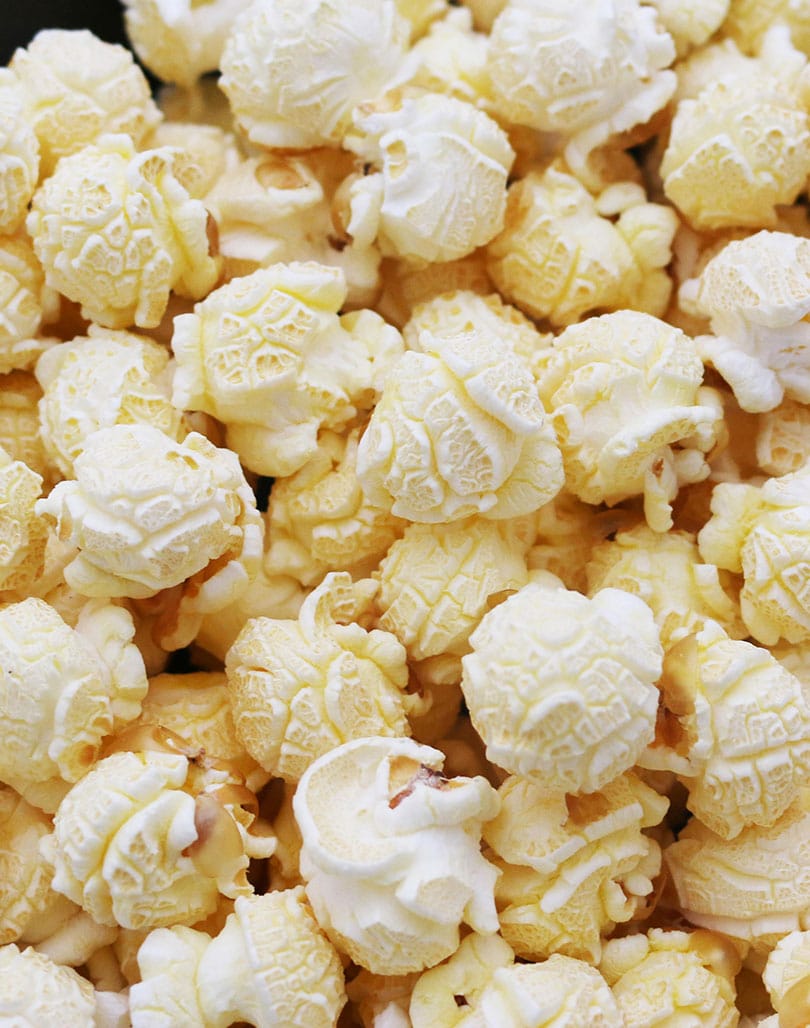 Bulk Mushroom Premium Popcorn Kernels (6lbs, 12lbs, 18lbs, 24lbs)