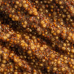 Mustard - Beer Chipotle
