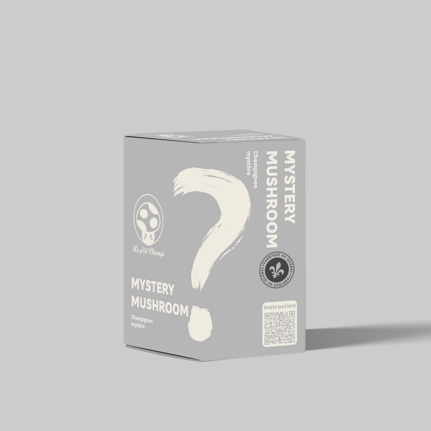 Mystery Mushroom Kit