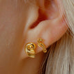 Nautilus Shell Studs